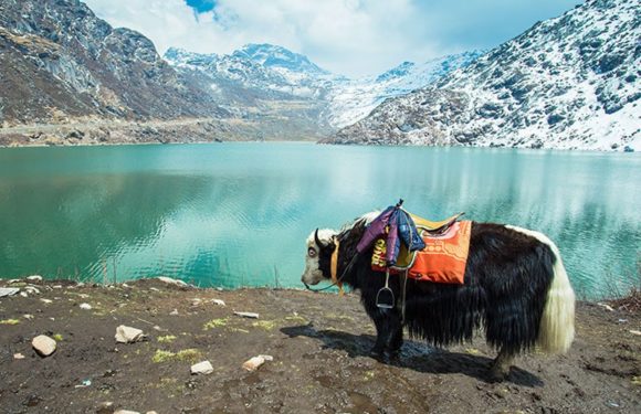 घूमने के लिए नार्थ ईस्ट की 7 बेहद खूबसूरत जगहें