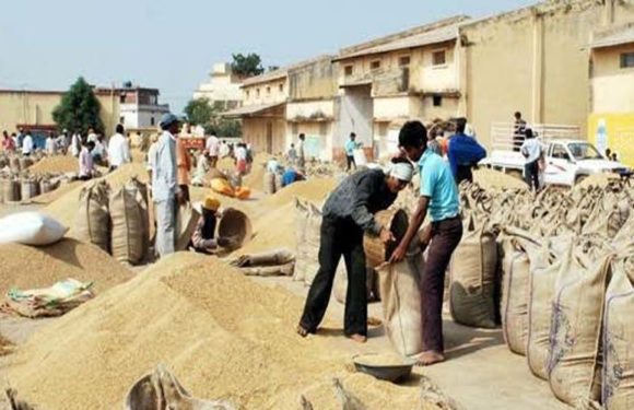 धान खरीद में करोड़ों का घोटाला , 9 के खिलाफ मामला दर्ज