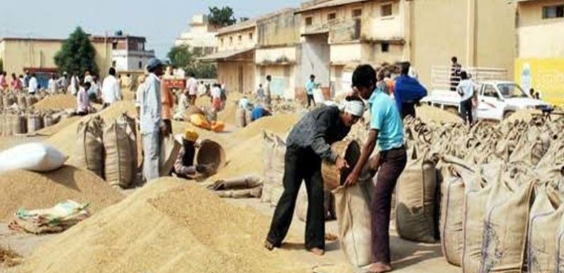 धान खरीद में करोड़ों का घोटाला , 9 के खिलाफ मामला दर्ज