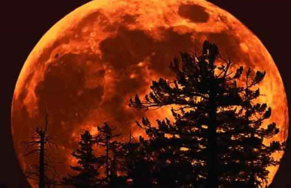 एक घंटे 45 मिनट तक खून जैसा दिखेगा लाल, 27 जुलाई को लगेगा सदी का सबसे लंबा चंद्र ग्रहण