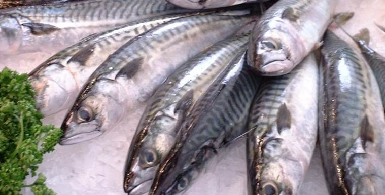 मछली खाने से रहे सावधान, कैंसर का हो सकता है खतरा