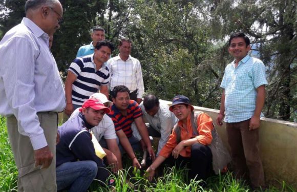 हरेला पर शिक्षक संघ ने किया वृक्षारोपण, जानिए क्यों मनाया जाता है हरेला