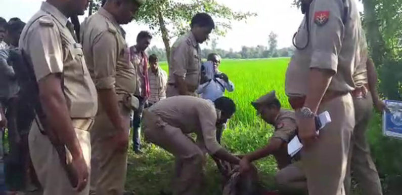 हिस्ट्रीसीटर बदमाश को ग्रामीणों ने पीट पीट कर उतारा मौत के घाट