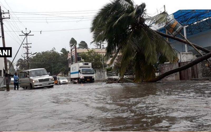 केरल में भारी बारिश