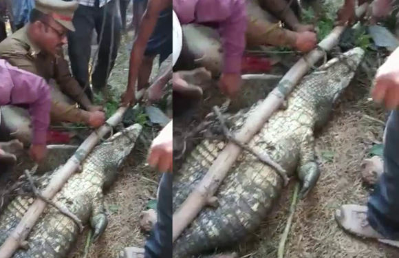 तहसील मैजिस्ट्रेट के ह्स्तक्षेप से बची क्षेत्रवासियों की जान