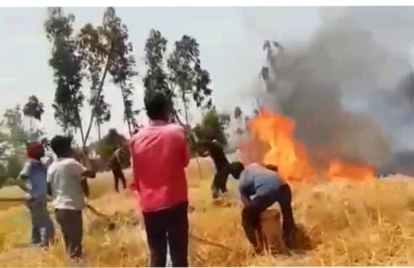 भूसा बनाने वाली मशीन से लगी आग । कई बीघा गेहूं जलकर खाक