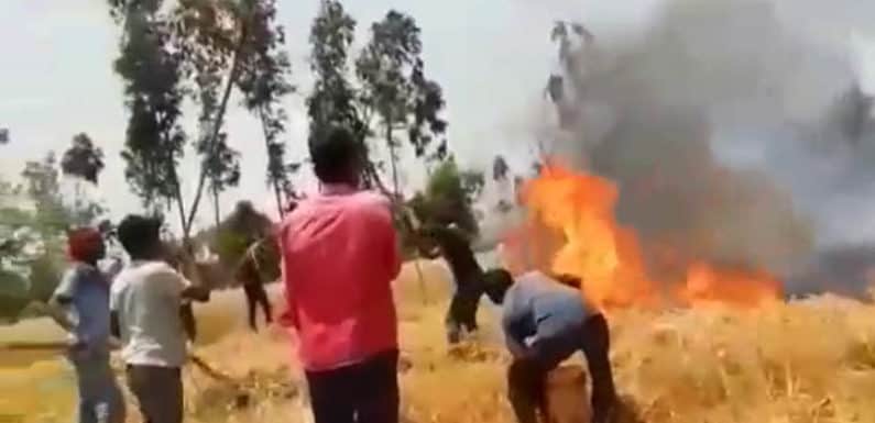 भूसा बनाने वाली मशीन से लगी आग । कई बीघा गेहूं जलकर खाक