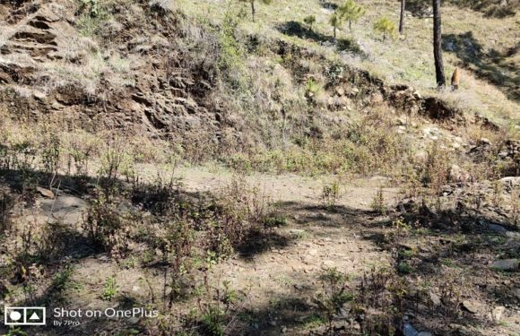 दस वर्ष बाद भी आली कांण्डई – लंगासू मोटर मार्ग निमार्णाधीन