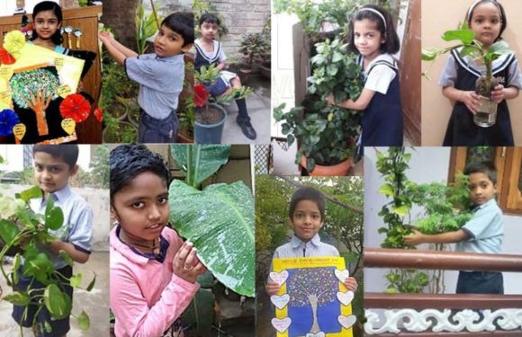 सी.एम.एस. के विभिन्न कैम्पस में आॅनलाइन मनाया गया ‘विश्व पर्यावरण दिवस’