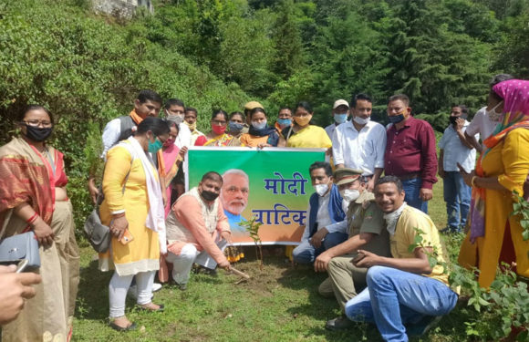 पीएम के जन्मदिवस पर किया गया फलदार वृक्षों एवं औषधि पादपों का रोपण