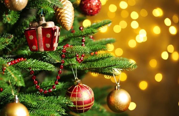 Christmas 2020 : आखिर कबसे शुरू हुआ क्रिसमस ट्री का प्रचलन