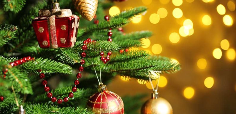 Christmas 2020 : आखिर कबसे शुरू हुआ क्रिसमस ट्री का प्रचलन