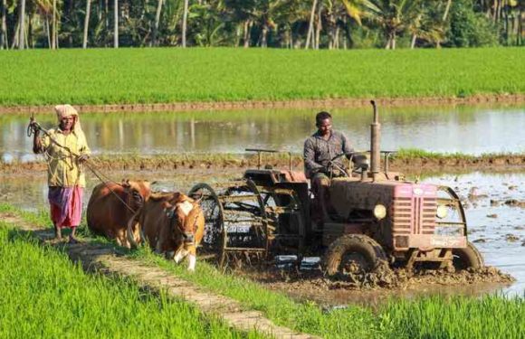 Farmers Day 2020 : सिद्धार्थनगर में किसान सम्मान एवं गोष्ठी का आयोजन, किसानों को किया सम्मानित