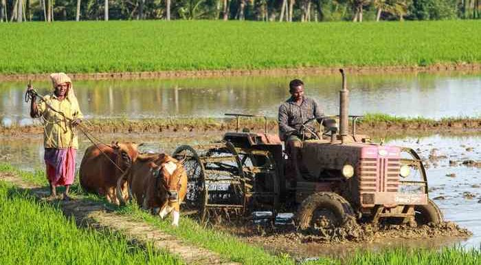 Farmers Day 2020 : सिद्धार्थनगर में किसान सम्मान एवं गोष्ठी का आयोजन, किसानों को किया सम्मानित