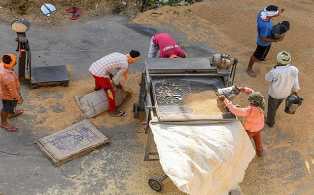 पंजाब में हड़कंप, अनाज के गोदामों पर सीबीआई की छापेमारी