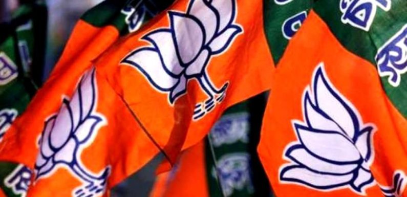 भाजपा से छिंटक रहे कायस्थ, नजरें विधान परिषद पर