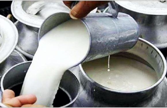क्या सचमुच ₹100 प्रति लीटर बिकेगा दूध? ट्विटर पर चल रहा ये ट्रेंड