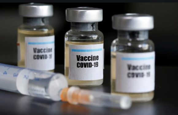 CORONA VACCINATION IN INDIA: 24 घंटे में लगी 20 लाख से ज्यादा डोज