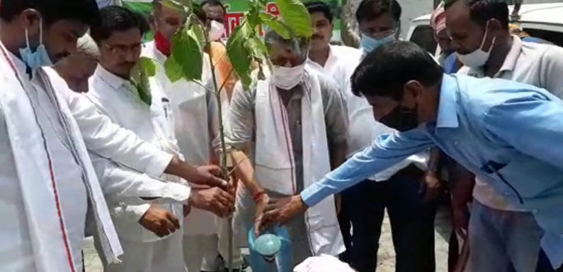 विश्व पर्यावरण दिवस के अवसर पर नगर विधायक वेद प्रकाश गुप्ता ने किया वृक्षारोपण