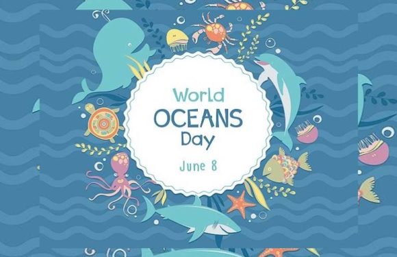 8 जून अंतर्राष्ट्रीय महासागर दिवस प्रदूषण में डूबते महासागरों का दर्द