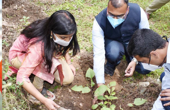 विश्व पर्यावरण दिवस पर शहीद पार्क एवं वन चेतना केन्द्र में जिलाधिकारी ने किया पौधरोपण