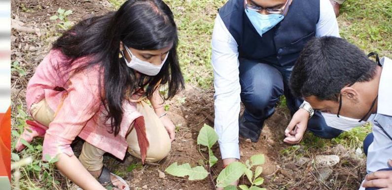 विश्व पर्यावरण दिवस पर शहीद पार्क एवं वन चेतना केन्द्र में जिलाधिकारी ने किया पौधरोपण