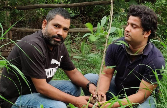 उन्नत भारत संस्था द्वारा देश भर में वृक्षारोपण कार्यक्रम आयोजित