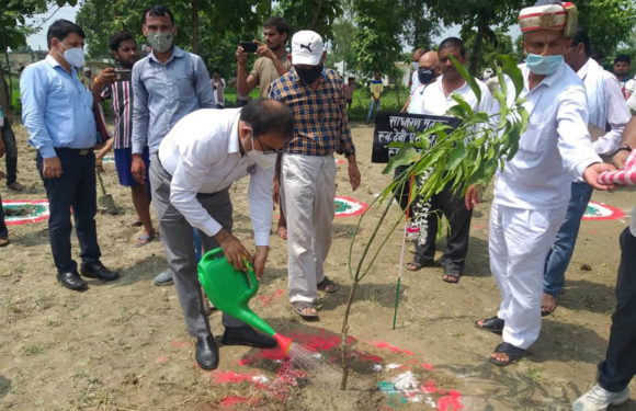 गोंडा-वृक्षारोपण महाअभियान के तहत जिले में 41 लाख 06 हजार 03 सौ पौधेे रोपित