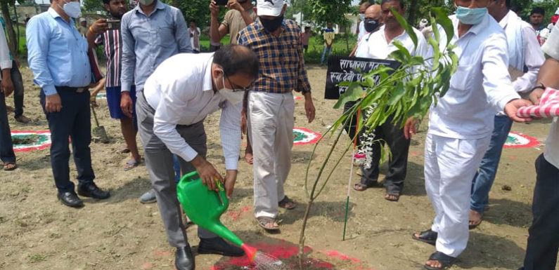 गोंडा-वृक्षारोपण महाअभियान के तहत जिले में 41 लाख 06 हजार 03 सौ पौधेे रोपित