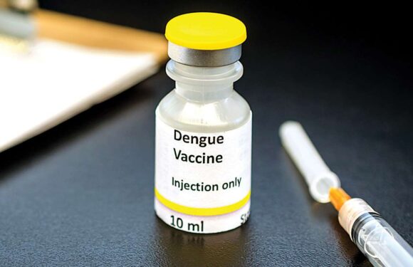 जानिए देश में मलेरिया और डेंगू के टीके कब तक आने वाले है
