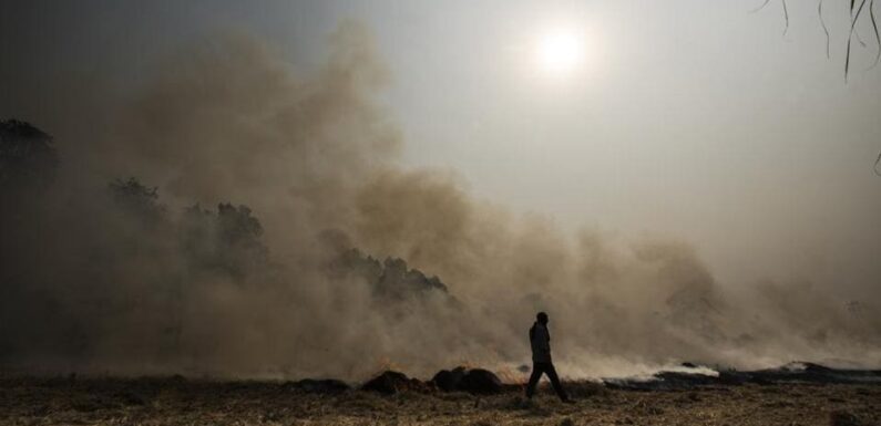 पिछले 3 दिनों में पंजाब, उत्तर प्रदेश, हरियाणा में तेजी से पराली जलाने की घटनाएं बढ़ी