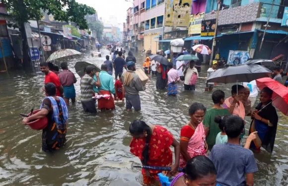 चेन्नई तमिलनाडु बारिश लाइव अपडेट: 14 मरे