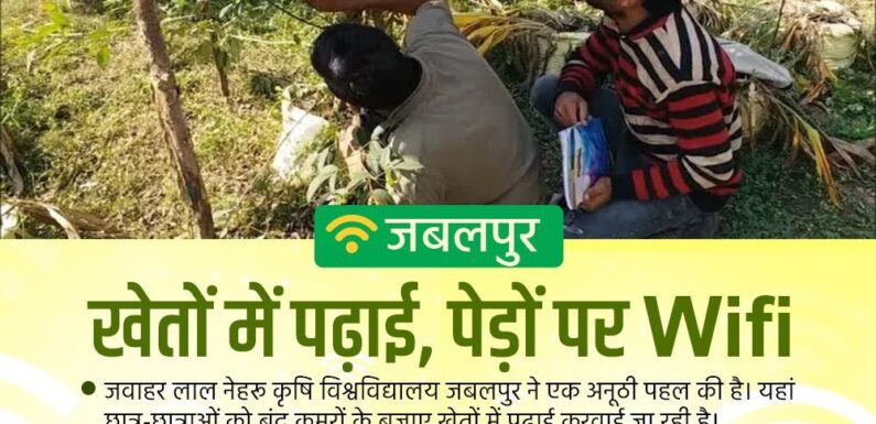 मध्य प्रदेश कृषि विश्वविद्यालय की अनूठी पहल, खेतों में पढ़ाई, पेड़ों पर Wi-Fi (वाई-फाई)
