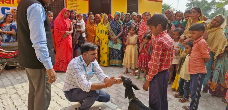 वैज्ञानिक विधि से बकरी पालन करें, आमदनी लाखों में